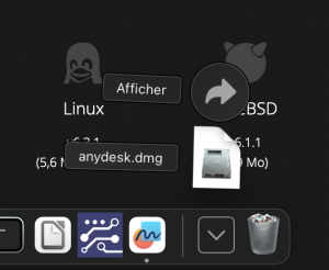 Cliquez sur le fichier anydesk.dmg